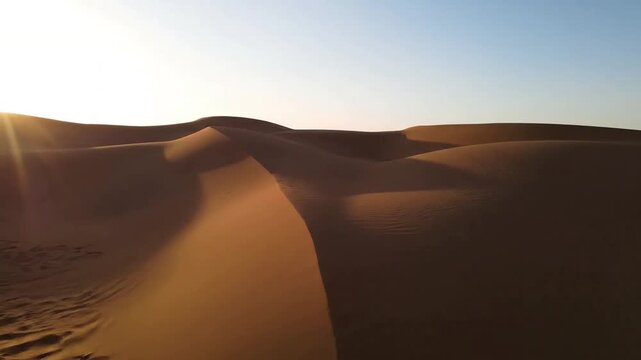 Wind-Sculpted Dune Textures A static, medium shot capturing the fine, wind-blown patterns on a sand surface. The side light rakes across the ripples, revealing subtle, delicate details and granular