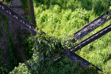 walking bridge over the forest and creek