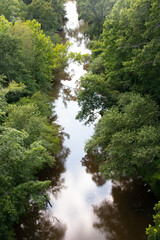 walking bridge over the forest and creek