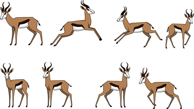 African springbok antelope character collection featuring wild gazelle in various poses including running jumping standing and walking for safari nature vector design.