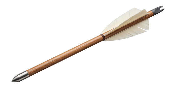 Wooden longbow arrow with feather fletching.