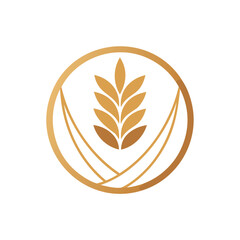 Golden wheat ear and open book symbol isolated on white background