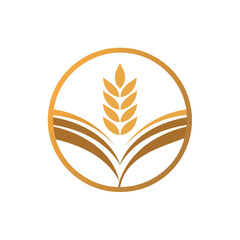 Golden wheat ear and open book symbol isolated on white background