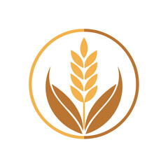 Golden wheat ear and open book symbol isolated on white background