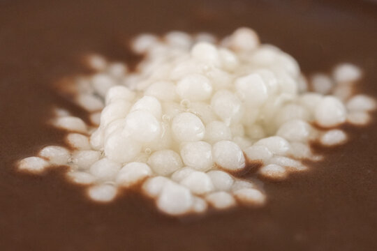 Macro close up of coconut spherification pearls on chocolate cream