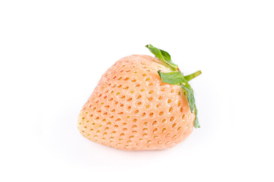 White Strawberry Fresh Rare Berry Fruit Isolated on White Background