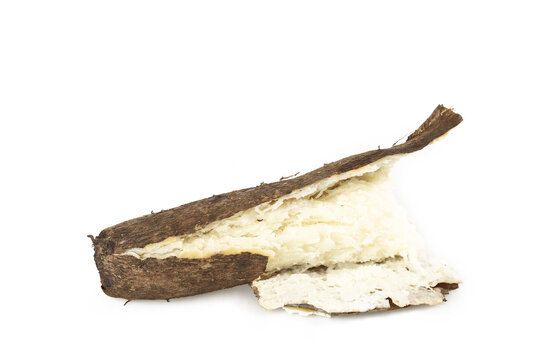 Fresh Yunnan Yam Root with Sticky White Flesh Exposed on White Background