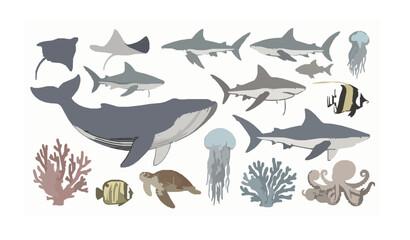 Hand drawn marine life collection with whale sharks and sea animals vector isolated on white © Rafika