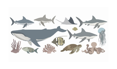 Hand drawn marine life collection with whale sharks and sea animals vector isolated on white © Rafika