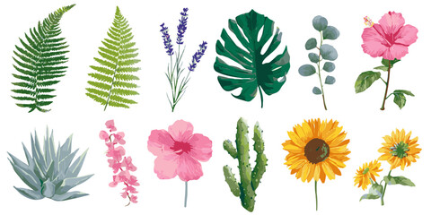 Fototapeta premium A collection of various botanical illustrations featuring different types of leaves, flowers, and plants.