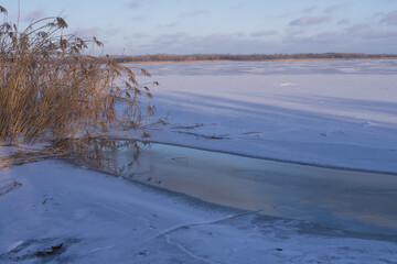 Winter frozen river with dry reeds and ice surface calm natural cold season landscape environment