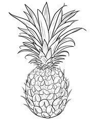 exotic fruits coloring pages, tropical fruit coloring pages, fruit coloring book, printable fruit coloring, kids coloring pages fruit, adult coloring fruit