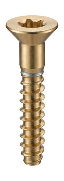 Brass-plated confirmat screw with a countersunk head.