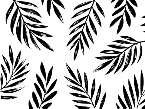 Black palm frond pattern white background simple tropical foliage leaf