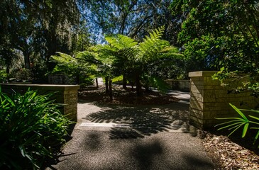 Obraz premium path in the park