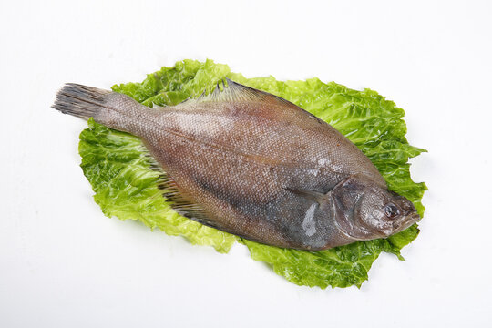 Fresh Whole Flounder Fish on Lettuce Leaves - Premium Seafood for Cooking