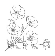 Black and white line of delicate poppy flowers with stems and leaves floral botanical