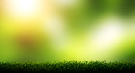 Obraz premium Happy easter Soft Focus Green Grass Field With Bright Sunlight Bokeh Background nature