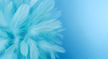 Fototapeta premium Happy easter Soft blue feathers arranged in a circular pattern against a gradient blue background light airy