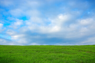 Green rural landscape under a cloudy sky