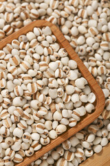 Fototapeta premium Fresh Job's Tears Grains from Guizhou China in Wooden Spoon - Traditional Asian Superfood Cereal