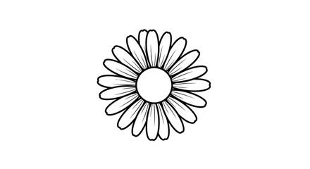 Fototapeta premium Simple black and white line drawing of a daisy flower.