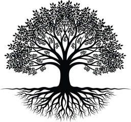 Obraz premium Black vector silhouette of a symmetrical deciduous tree with dense leafy branches and visible underground root system for nature environment genealogy and life branding
