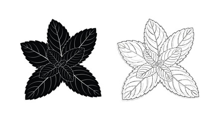 Two stylized mint leaf illustrations in contrasting black and white © Rokiya Aktar