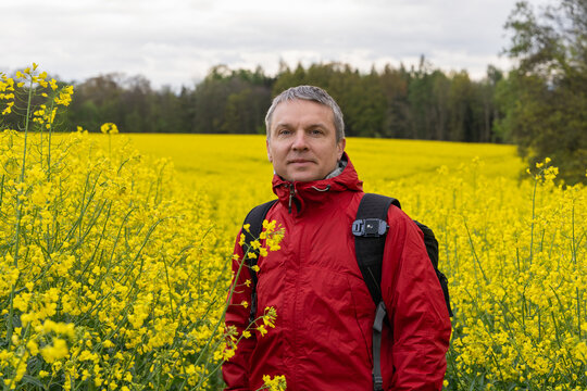 Aduld caucasian man wearing red jacket in bright yellow rapeseed field, enjoying spring outdoors. Concept of nature, healthy lifestyle, happiness, and well being.