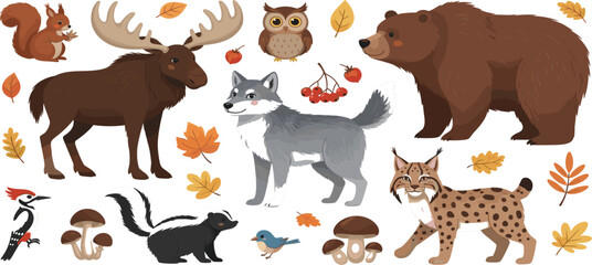 Fototapeta premium Forest woodland animals vector set with bear, moose, wolf, lynx, owl, squirrel, and autumn leaves