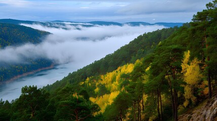 Scenic landscape featuring lush green pine trees and vibrant autumn foliage along a serene river, with mist rolling over the hills, creating a tranquil natural atmosphere
