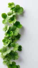 Fresh shamrock leaves arranged on a clean white background create a minimalist design with ample space for text and branding