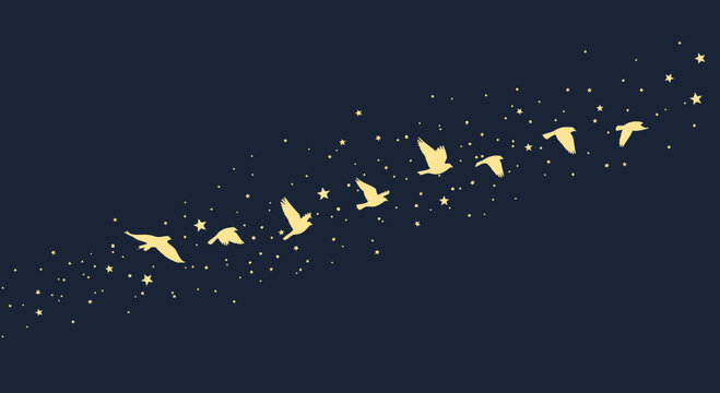 Golden Birds Flying Through A Starry Night Sky