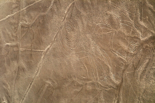 Unesco Heritage: Lines and Geoglyphs of Nazca, Peru - monkey