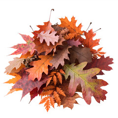 Fototapeta premium Pile of Autumn Leaves Isolated on Transparent Background