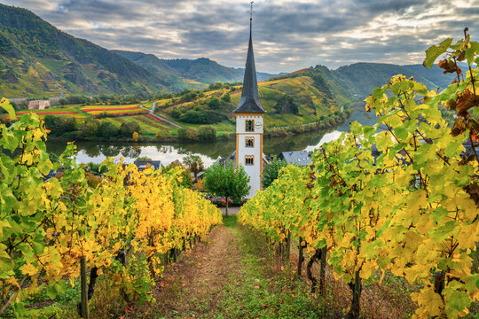 Scenic view of Bremm church near moselle river in Germany with vineyards in autumn season