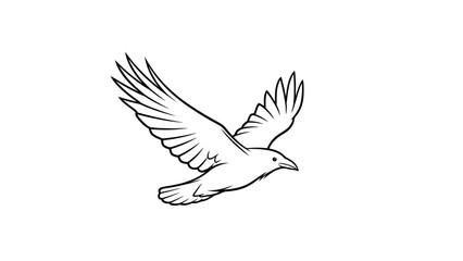 Fototapeta premium Black bird flying, raven, crow, sketch, line art, isolated on white background