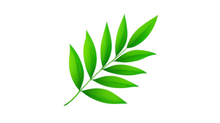 Obraz premium Green leaf botanical illustration natural foliage isolated on transparent background fresh plant element vibrant color eco friendly decorative realistic style
