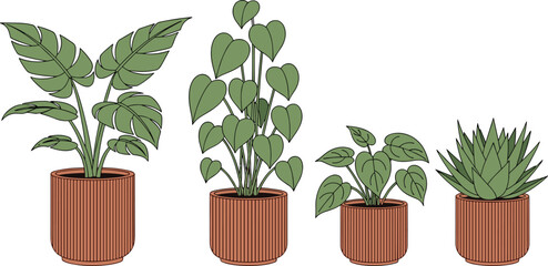 Flat vector illustration of various green houseplants in modern ribbed terracotta pots, featuring monstera, heartleaf philodendron, and succulent plant set. © Rakibul