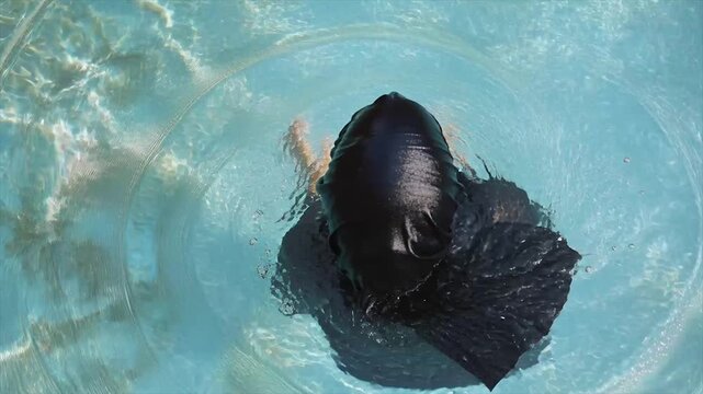 Muslim woman in burkini swims in the pool