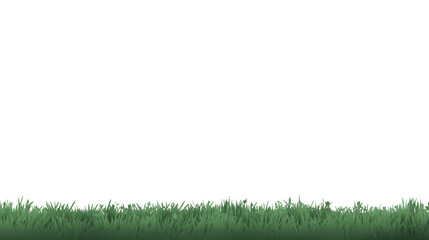 Green grass border fresh lawn springtime isolated transparent background nature outdoor realistic landscape horizontal vibrant natural peaceful growth healthy garden field summer clean environment