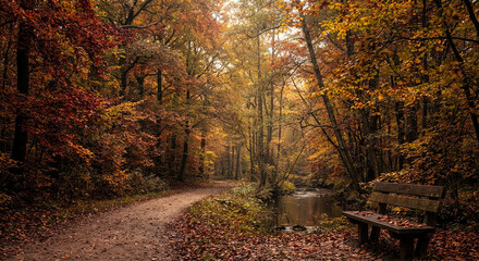 Naklejka premium Autumn Forest Path Fall Colors Stream Wooden Bridge Nature Landscape Scenic 