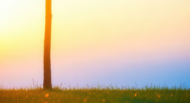Golden light streams across a calm outdoor setting, symbolizing the relief and anticipation of a summer Friday weekend beginning in June, sunny, outdoor, afternoon