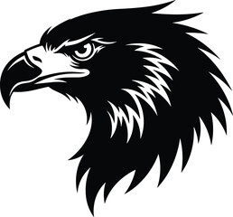 Obraz premium Black and white eagle head with sharp feathers and beak bird