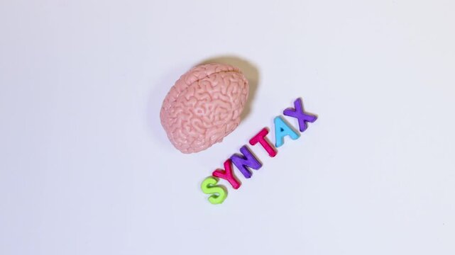 Brain model representing the syntax concept on white background
