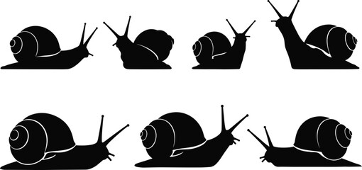 Vector silhouettes of garden snails in various crawling poses isolated on white background, black gastropod mollusk collection for nature and biology design projects ©  Creative Crafter