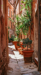 Fototapeta premium Potted plants lining narrow sunlit Mediterranean alley