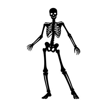 Skeleton silhouette illustration vector icon
Vector illustration on a white background