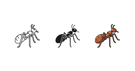 Fototapeta premium Three stylized ant illustrations in outline, black, and colored versions