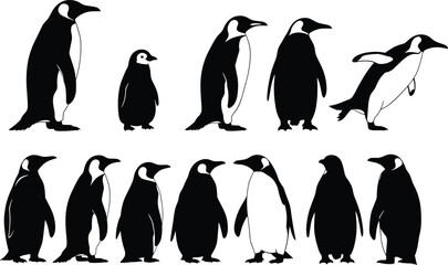 Penguin silhouette collection featuring emperor penguin characters standing and walking in various poses for Antarctic wildlife nature conservation design and polar animal vector set © Creative Minds
